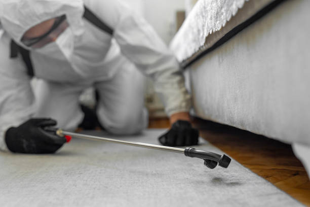 Professional Bed Bug Control technician working in Hokes Bluff, AL
