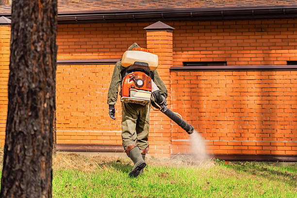 Trusted Bed Bug Control service in Hokes Bluff, AL - Nex Pest Control